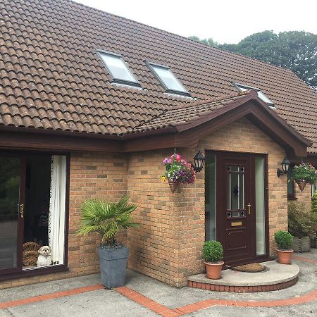 The Firs - Englefied Studio Bed and Breakfast Douglas Exterior foto